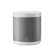 Xiaomi Smart Speaker